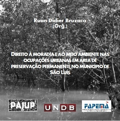 Direito a moradia e ao meio ambiente nas ocupacoes urbanas em áreas de preservacao.jpg