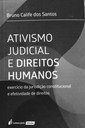 Ativismo Judicial e Direitos Humanos