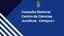 ccj_consulta eleitoral.jpg