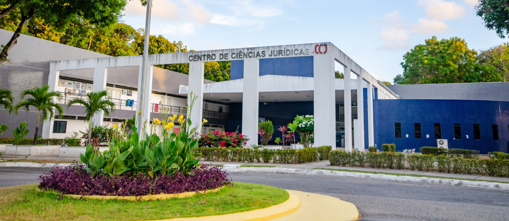 Imagem decorativa do site